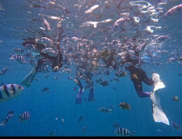 DIVING-SHOP SUNSに投稿された画像（2023/6/4）