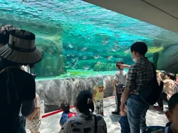 天王寺動物園に投稿された画像（2023/6/4）