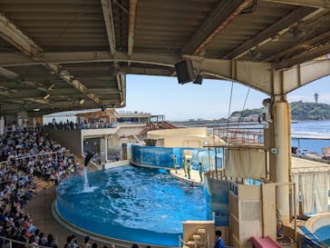 新江ノ島水族館に投稿された画像（2023/6/4）