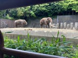 横浜市立金沢動物園に投稿された画像（2023/6/4）