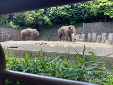 横浜市立金沢動物園に投稿された画像（2023/6/4）