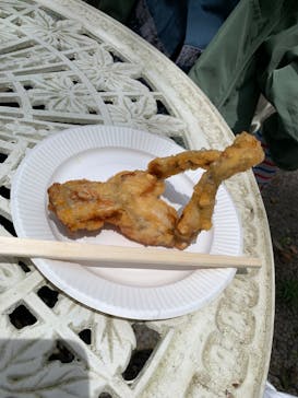 野外民族博物館 リトルワールドに投稿された画像（2023/6/4）