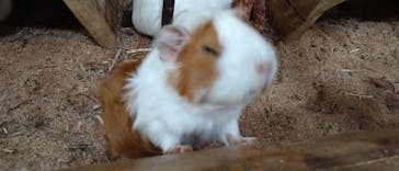 長崎バイオパークに投稿された画像（2023/6/4）