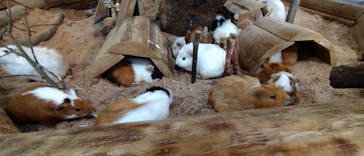 長崎バイオパークに投稿された画像（2023/6/4）