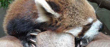 長崎バイオパークに投稿された画像（2023/6/4）