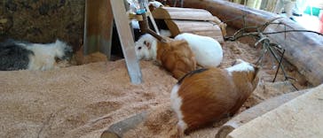 長崎バイオパークに投稿された画像（2023/6/4）