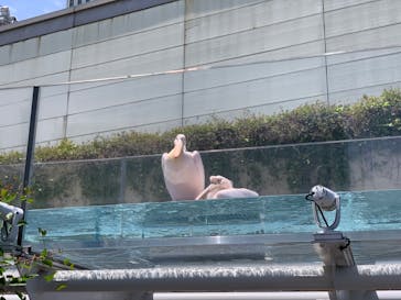 サンシャイン水族館に投稿された画像（2023/6/4）