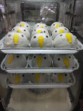 神戸どうぶつ王国に投稿された画像（2023/6/4）