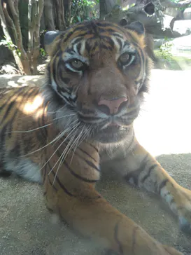 神戸どうぶつ王国に投稿された画像（2023/6/4）