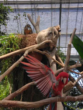 神戸どうぶつ王国に投稿された画像（2023/6/4）