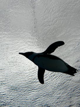 サンシャイン水族館に投稿された画像（2023/6/4）