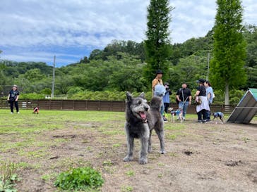わんダフルネイチャーヴィレッジに投稿された画像（2023/6/4）