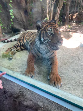 神戸どうぶつ王国に投稿された画像（2023/6/4）