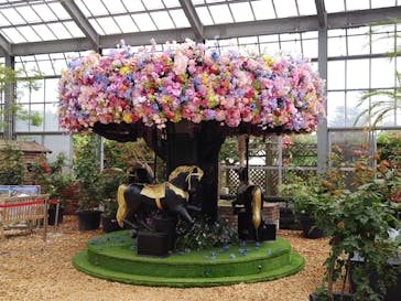 京成バラ園に投稿された画像（2023/6/4）