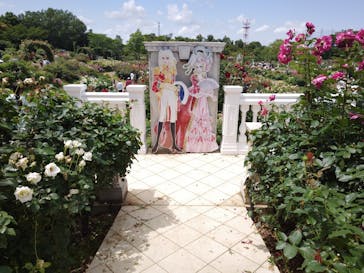 京成バラ園に投稿された画像（2023/6/4）