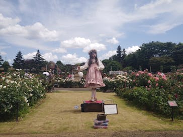 京成バラ園に投稿された画像（2023/6/4）