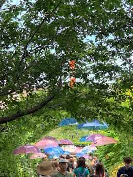 横浜イングリッシュガーデンに投稿された画像（2023/6/4）