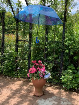 横浜イングリッシュガーデンに投稿された画像（2023/6/4）