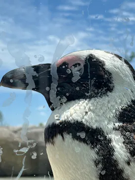 仙台うみの杜水族館に投稿された画像（2023/6/4）