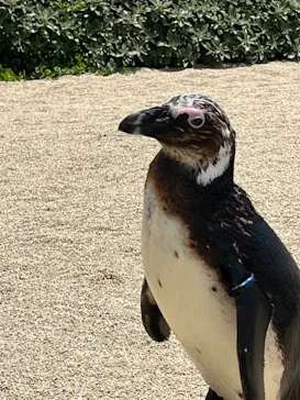 仙台うみの杜水族館に投稿された画像（2023/6/4）