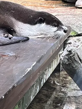 仙台うみの杜水族館に投稿された画像（2023/6/4）