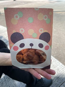 特別展「恐竜博2023」に投稿された画像（2023/6/4）