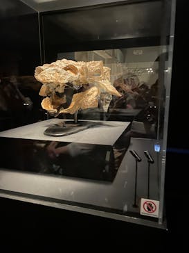 特別展「恐竜博2023」に投稿された画像（2023/6/4）