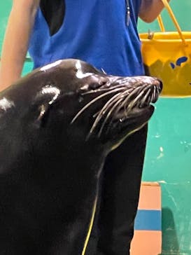 ゼロ距離水族館 伊勢シーパラダイスに投稿された画像（2023/6/4）