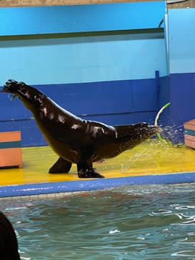 ゼロ距離水族館 伊勢シーパラダイスに投稿された画像（2023/6/4）