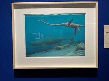 特別展「恐竜図鑑―失われた世界の想像／創造」（上野の森美術館）に投稿された画像（2023/6/4）