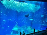 アクアワールド茨城県大洗水族館に投稿された画像（2023/6/4）