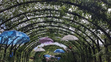 横浜イングリッシュガーデンに投稿された画像（2023/6/4）