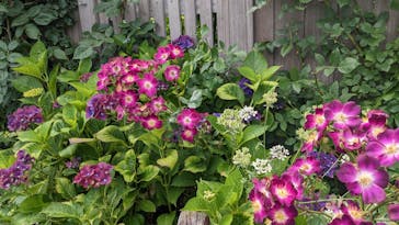 横浜イングリッシュガーデンに投稿された画像（2023/6/4）