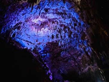 おきなわワールドに投稿された画像（2023/6/4）