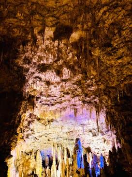 おきなわワールドに投稿された画像（2023/6/4）