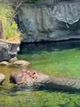 天王寺動物園に投稿された画像（2023/6/4）