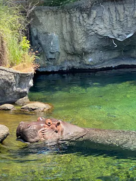 天王寺動物園に投稿された画像（2023/6/4）
