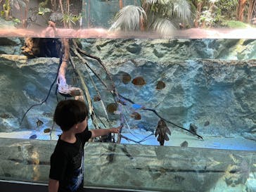 カワスイ 川崎⽔族館に投稿された画像（2023/6/4）