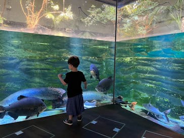 カワスイ 川崎⽔族館に投稿された画像（2023/6/4）