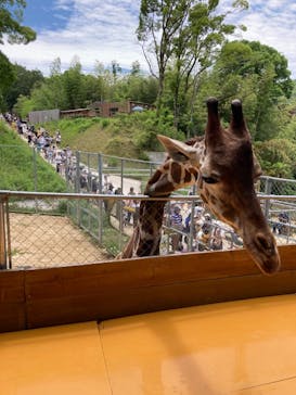 しろとり動物園に投稿された画像（2023/6/4）