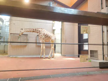 天王寺動物園に投稿された画像（2023/6/4）