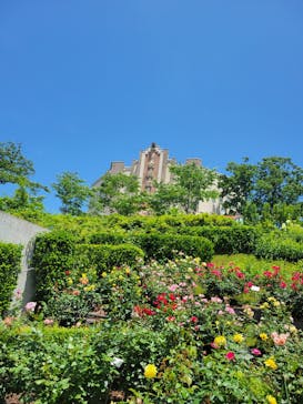 西武園ゆうえんちに投稿された画像（2023/6/4）