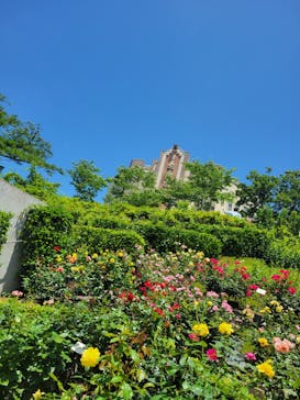 西武園ゆうえんちに投稿された画像（2023/6/4）