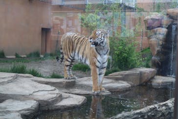 那須どうぶつ王国に投稿された画像（2023/6/4）