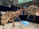特別展「恐竜博2023」に投稿された画像（2023/6/4）
