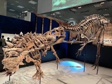 特別展「恐竜博2023」に投稿された画像（2023/6/4）