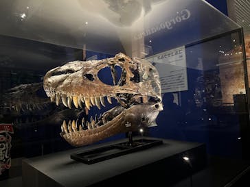特別展「恐竜博2023」に投稿された画像（2023/6/4）