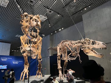 特別展「恐竜博2023」に投稿された画像（2023/6/4）