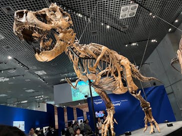 特別展「恐竜博2023」に投稿された画像（2023/6/4）
