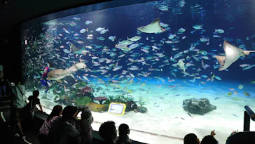 サンシャイン水族館に投稿された画像（2023/6/4）